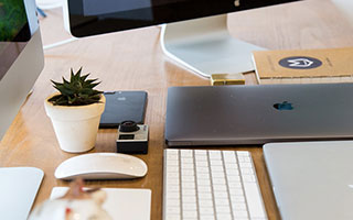 九游游戏-帕尔梅拉斯多点开花，备战进攻火力爆发