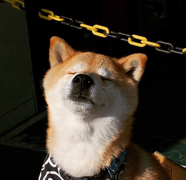 九游娱乐首页-北欧秩序终结南美狂想，奥斯梅恩一锤定音，丹麦提前锁定胜局