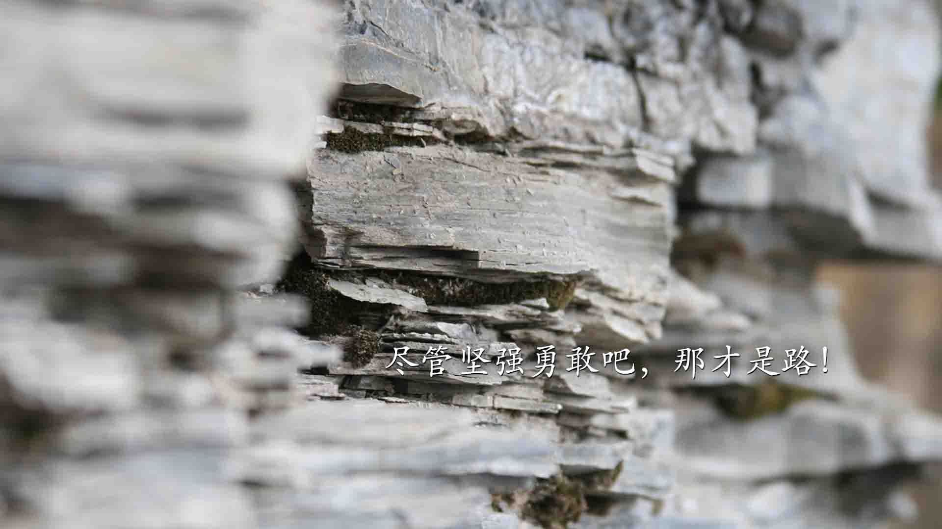 九游娱乐首页-西甲国家德比焦点战，皇马压哨绝杀，冰岛之魂闪耀伯纳乌