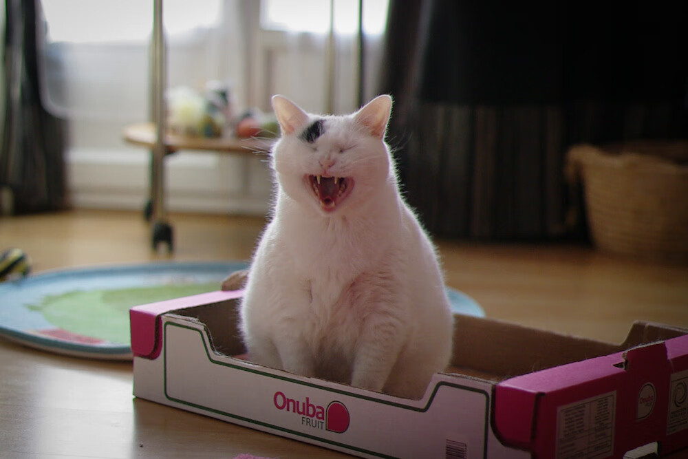 当争冠成为常态,曼城如何化身英超收割者