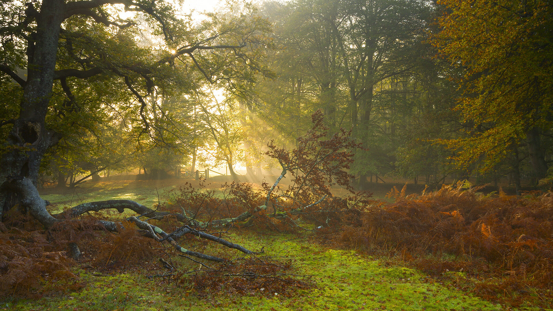 草蛇灰线中的终结者，劳塔罗在沉默处亮剑，巴西在焦灼中通关