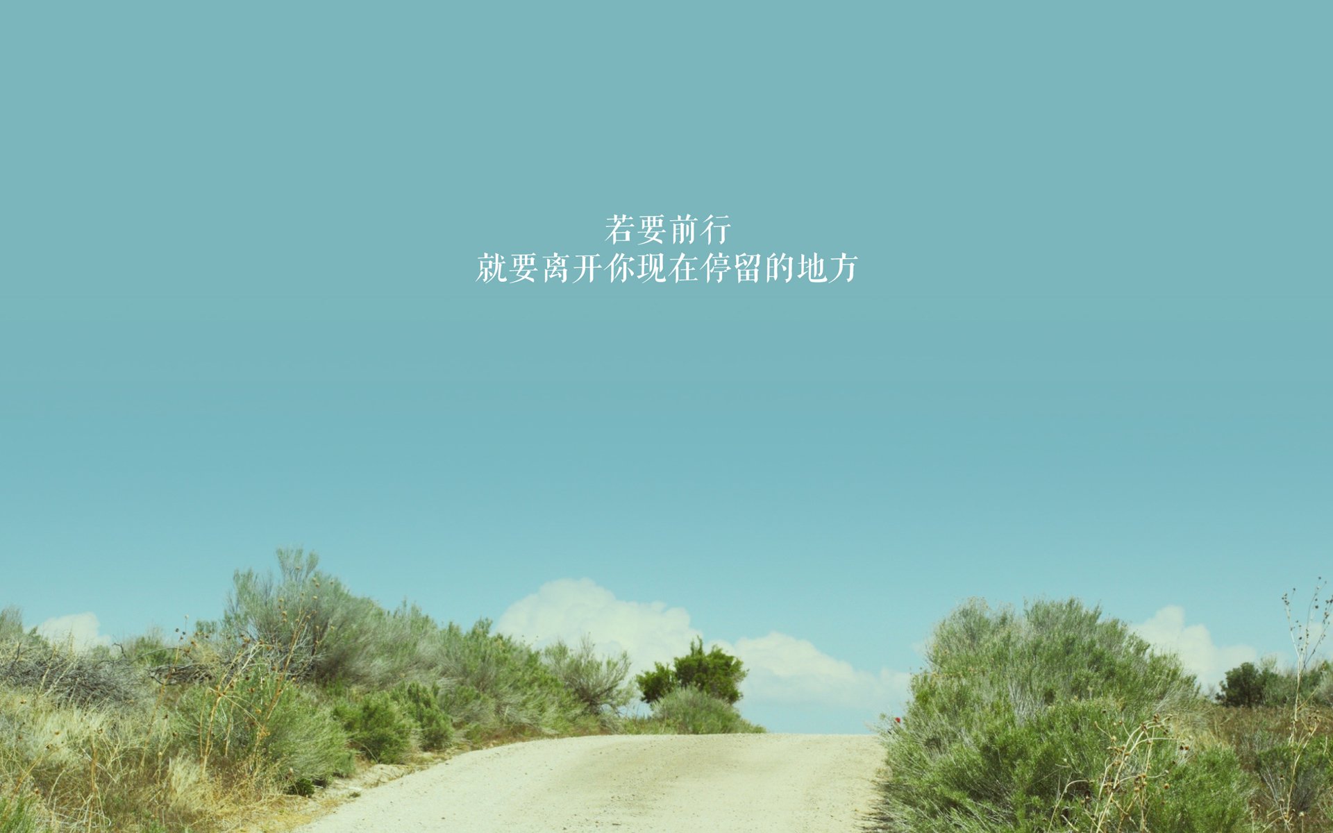 F1新赛季揭幕战焦点战，加纳车队完胜罗马车队，开启荣耀征程