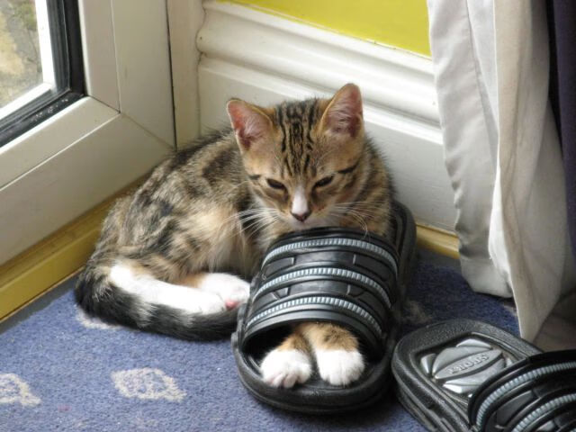 萨卡打爆防线难救主,马赛军团破茧成蝶强势拿下阿森纳