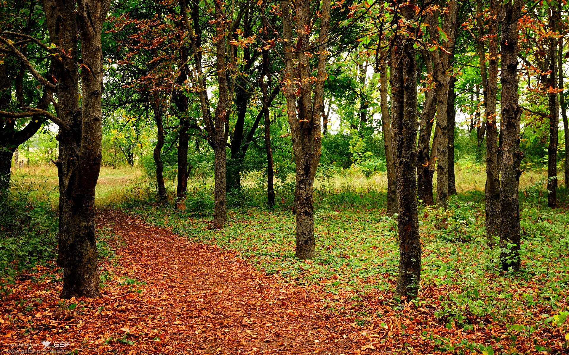 九游体育平台-绝境逢生！小贾伦末节17分导演逆转，开拓者险胜独行侠
