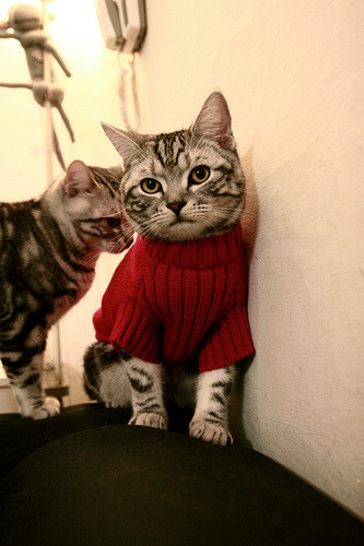 布雷默的弯道革命与贝蒂斯的铁桶阵,当规则颠覆者接管赛场