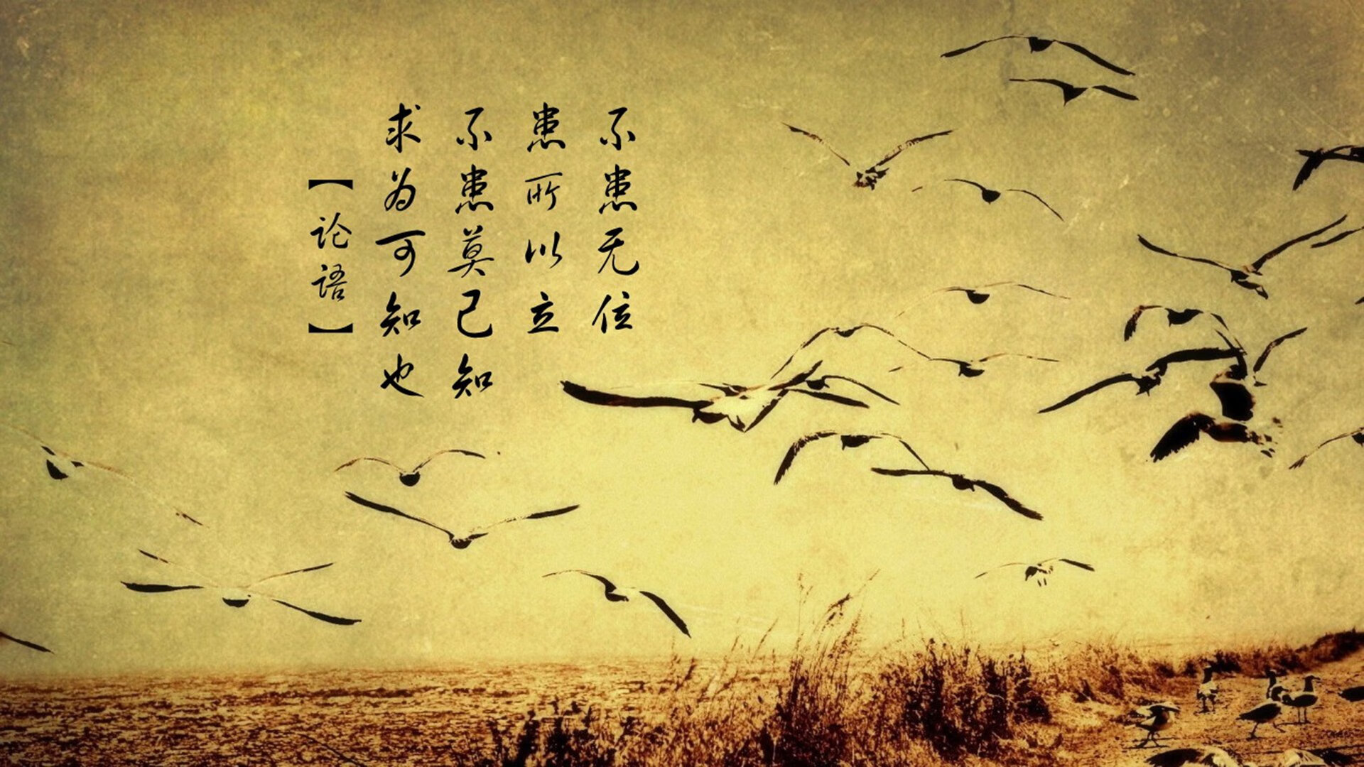 季前赛风云，山西队终结奇才，切特霍姆格伦冠军级表现引关注