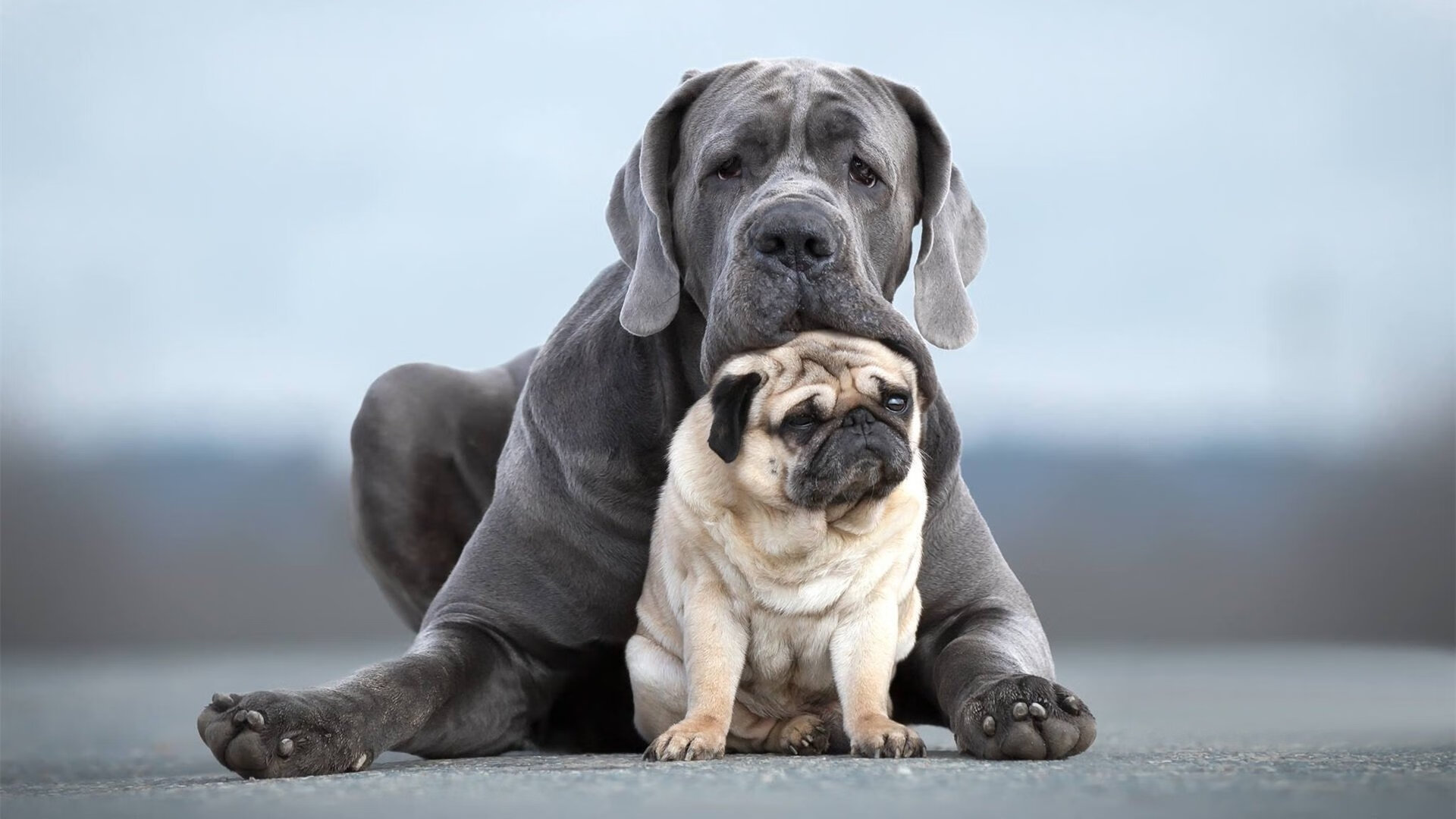 九游官网-压抑的火山终炸裂纽约，重压下哈登用行动击碎所有质疑